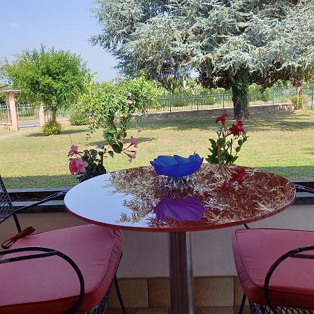 B & B Cedro Argentato Legnago Zewnętrze zdjęcie